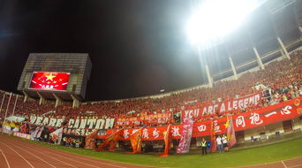 开云体育app入口-场馆设施翻新完成比赛场地改造计划推进，场馆设计方案