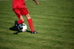 开云体育官网app-中国足球青训体系引进国际先进训练理念，中国足球青训体系是什么